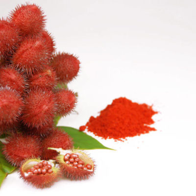 6 Beauty-Tipps aus Brasilien 6 Beauty-Tipps aus Brasilien